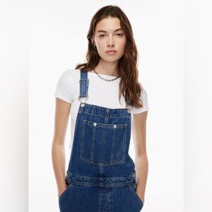 Aritzia Sunday Best Overalls (Size SMALL)